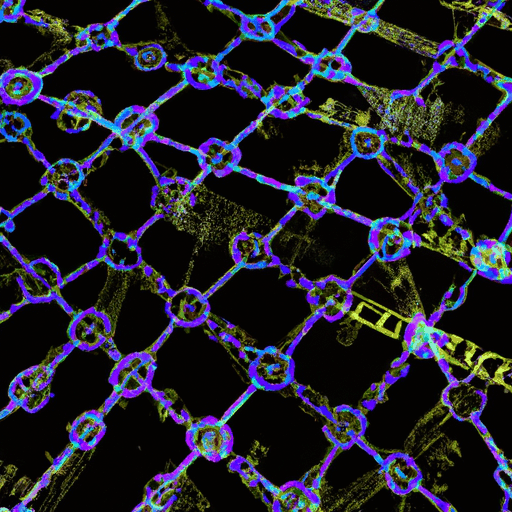XRP Ledger Launches EVM Sidechain Enhancing Cross-Chain Interoperability